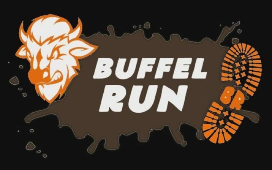 Buffelrun-aspect-ratio-800-500
