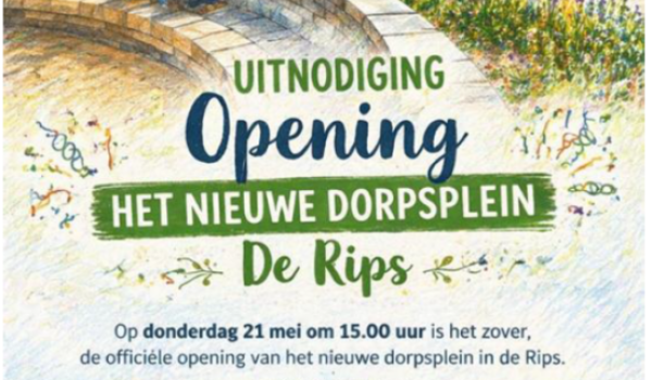 DOP-Opening-552x800-1-aspect-ratio-800-500