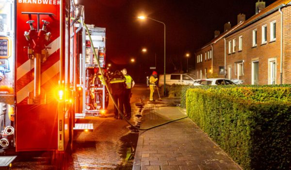 DSC00094-aspect-ratio-800-500