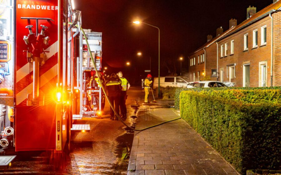 DSC00094-aspect-ratio-800-500