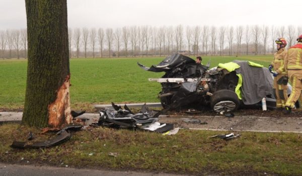 DSC00936-aspect-ratio-800-500