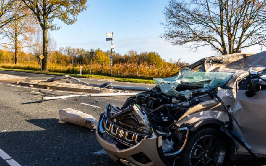 DSC07766-aspect-ratio-800-500