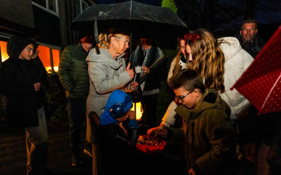 DSC08029-scaled-aspect-ratio-800-500