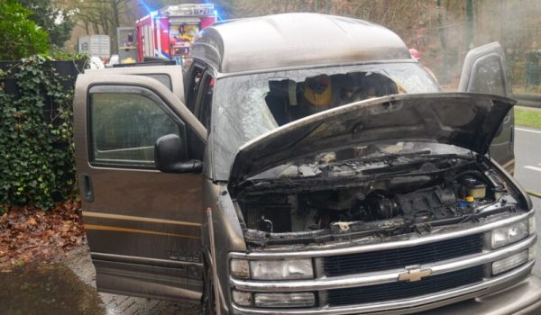 DSC08517-aspect-ratio-800-500