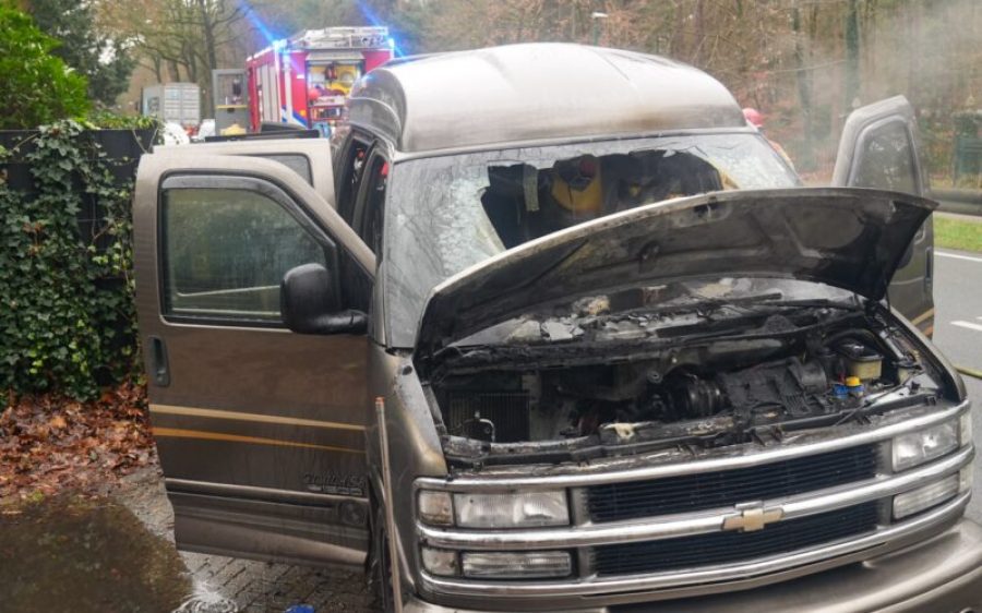 DSC08517-aspect-ratio-800-500