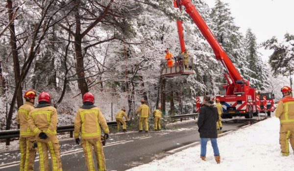 DSC09816-aspect-ratio-800-500