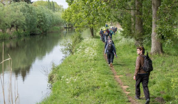 DSCF6142-aspect-ratio-800-500