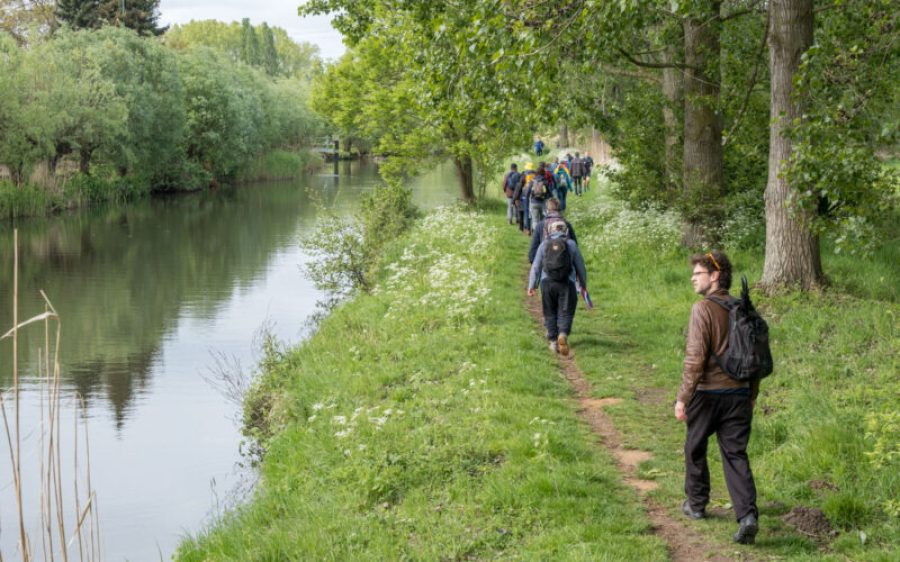 DSCF6142-aspect-ratio-800-500