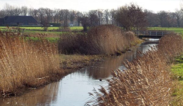 De Goorloop Helmond-aspect-ratio-800-500