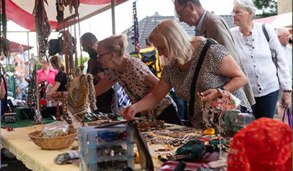 De-Haag-op-Stelten.nl_-aspect-ratio-800-500