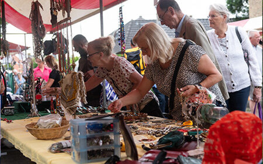 De-Haag-op-Stelten.nl_-aspect-ratio-800-500