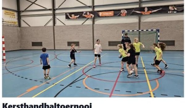 De-Rips-Handbal-aspect-ratio-800-500