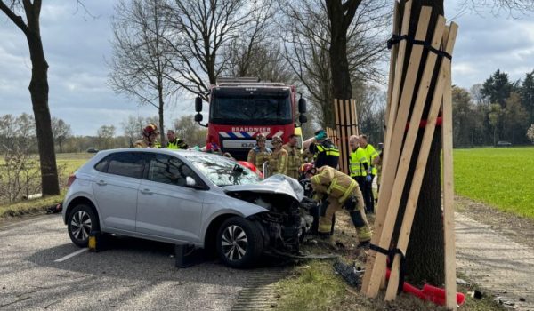 De-Rips-aspect-ratio-800-500