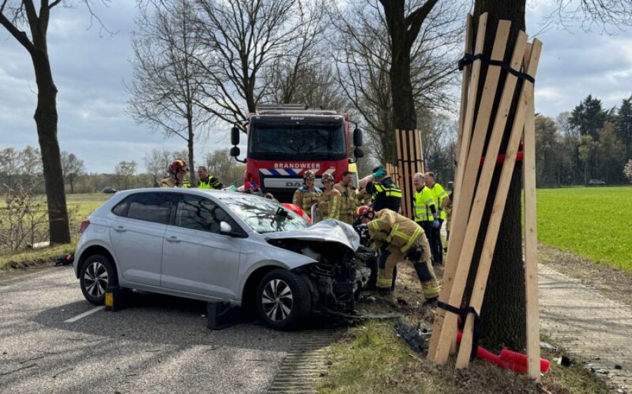 De-Rips-aspect-ratio-800-500