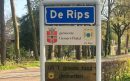 De-Rips-aspect-ratio-800-500