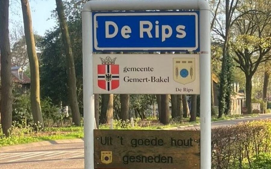 De-Rips-aspect-ratio-800-500