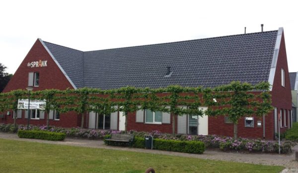 De-Sprank-in-de-Mortel-aspect-ratio-800-500