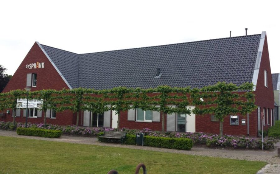 De-Sprank-in-de-Mortel-aspect-ratio-800-500