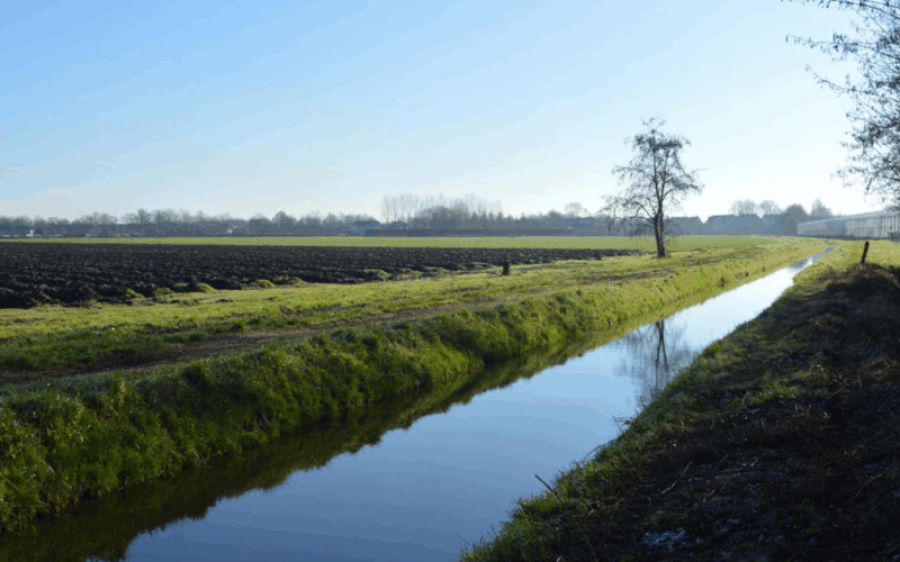 Deelse-Kampen-aspect-ratio-800-500