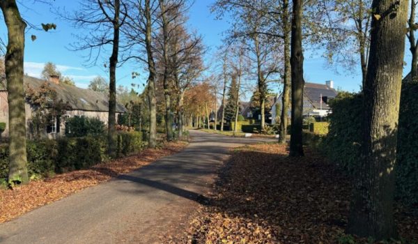 Dorpsraad Lieshout - Verkeersveiligheid-aspect-ratio-800-500