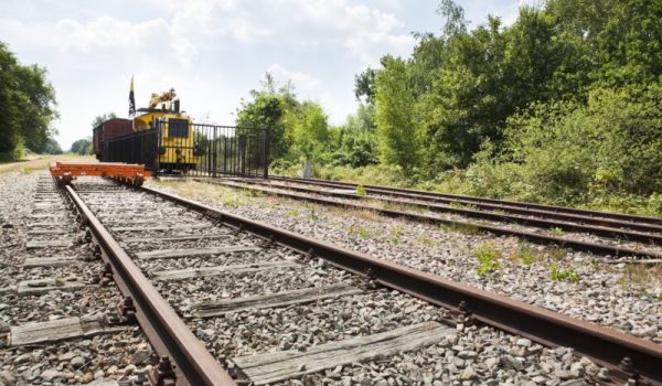 Duis-Lijntje-aspect-ratio-800-500