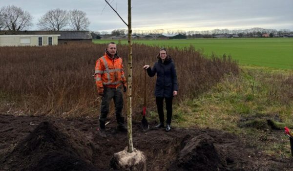 Foto-bij-artikel-over-nieuwe-bomen-Elsendorp-aspect-ratio-800-500