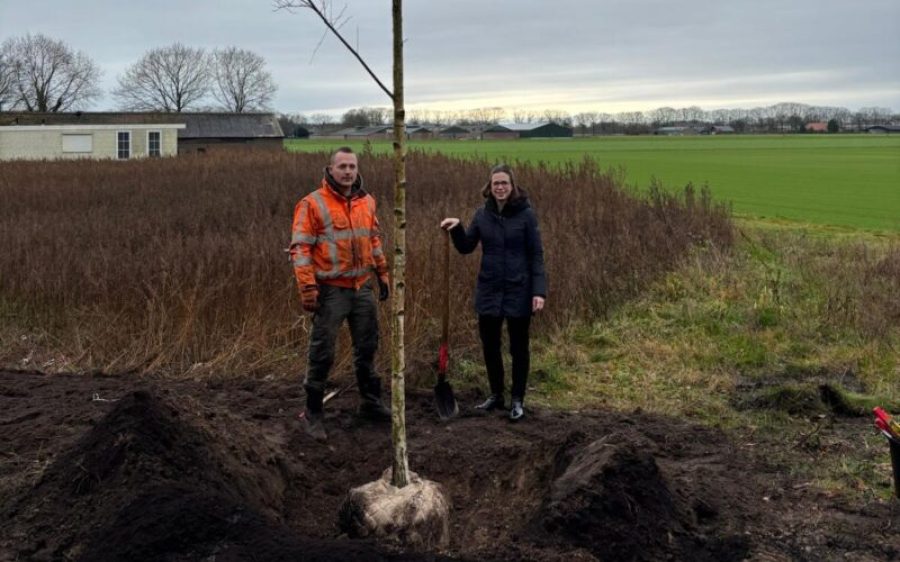 Foto-bij-artikel-over-nieuwe-bomen-Elsendorp-aspect-ratio-800-500