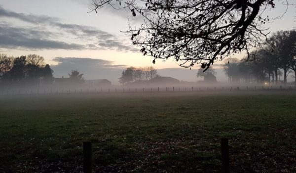 Gemeente-Boekel-1-aspect-ratio-800-500