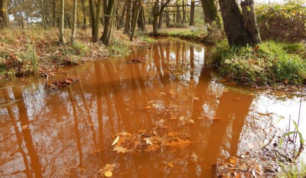 Gemert-Grotelsche-heide-Esperloop-gevoedt-door-de-Peelrandbreuk-@Janneke-de-Groot-aspect-ratio-800-500