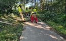 Gemertsedijk-Erp-Stormschade-5-aspect-ratio-800-500