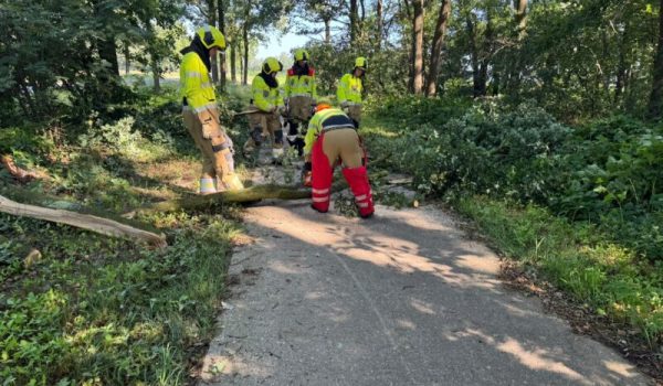 Gemertsedijk-Erp-Stormschade-5-aspect-ratio-800-500
