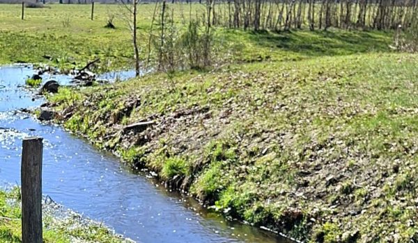 Grotel-Snelle-loop-aspect-ratio-800-500