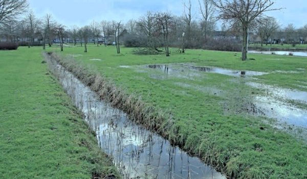 Heiakkerpark-Deurne-aspect-ratio-800-500