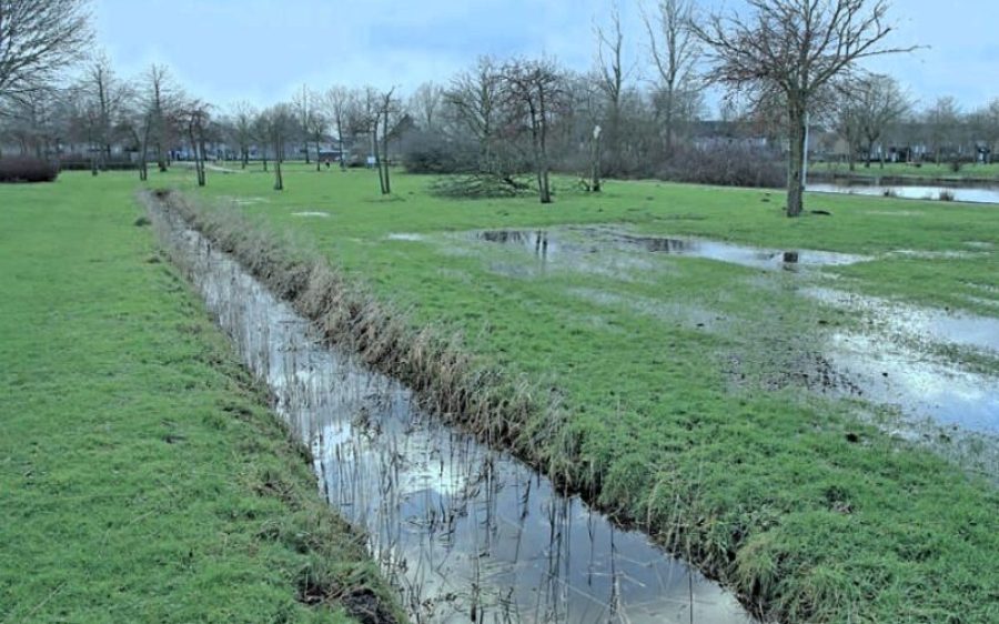 Heiakkerpark-Deurne-aspect-ratio-800-500