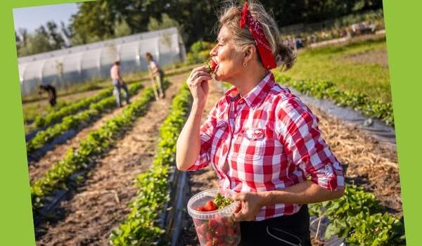 Herenboeren-aspect-ratio-800-500