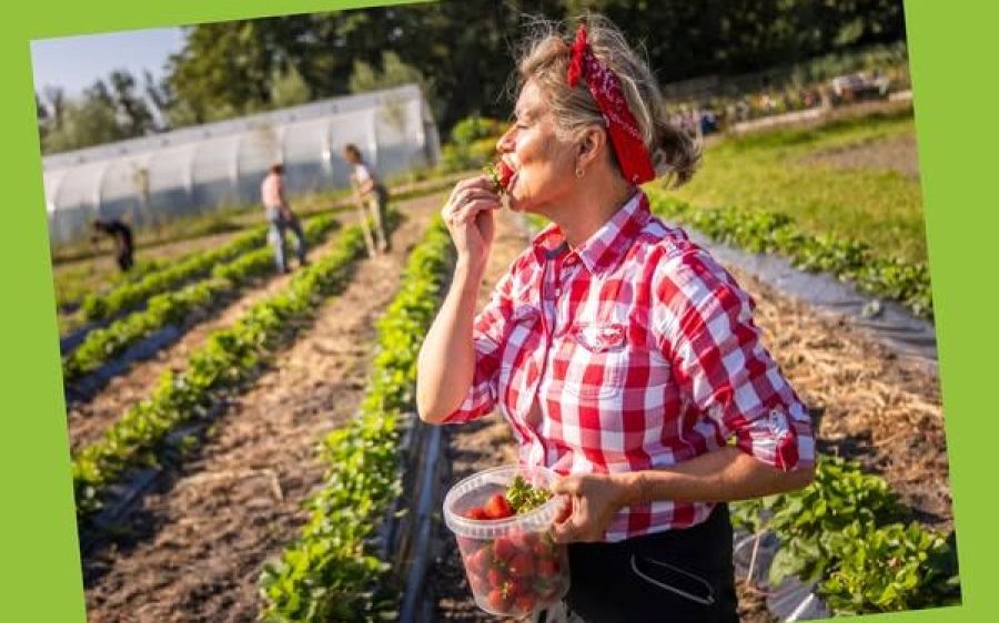 Herenboeren-aspect-ratio-800-500