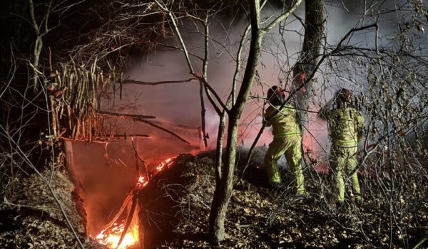 IMG_1554-scaled-aspect-ratio-800-500