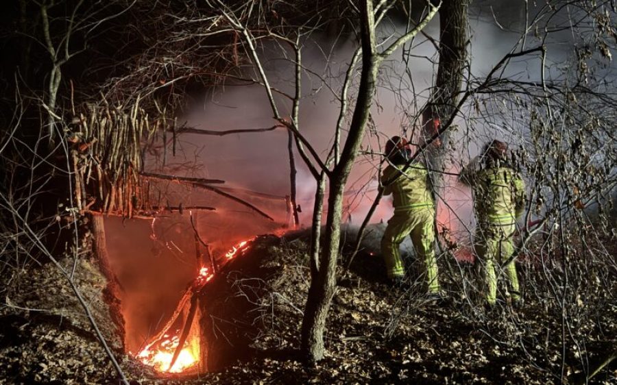 IMG_1554-scaled-aspect-ratio-800-500