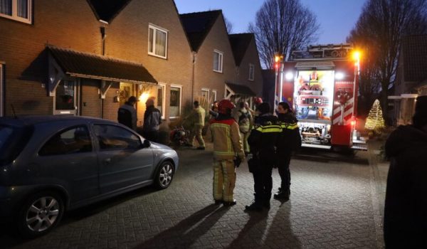 IMG_2426-1-aspect-ratio-800-500