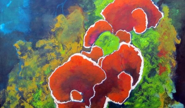 IMG_2615-Zwam-aspect-ratio-800-500