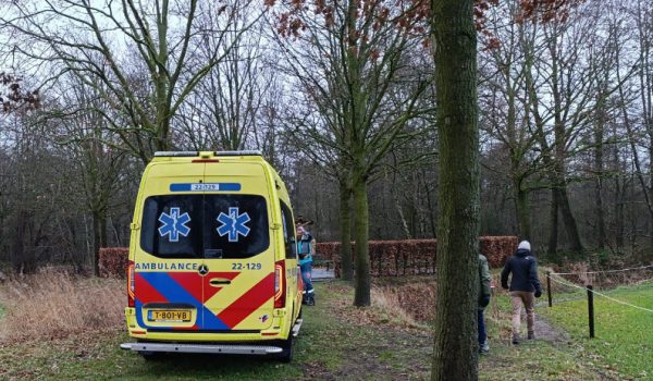 IMG_3021-aspect-ratio-800-500