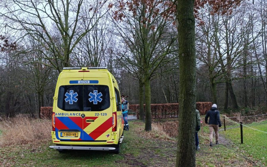 IMG_3021-aspect-ratio-800-500