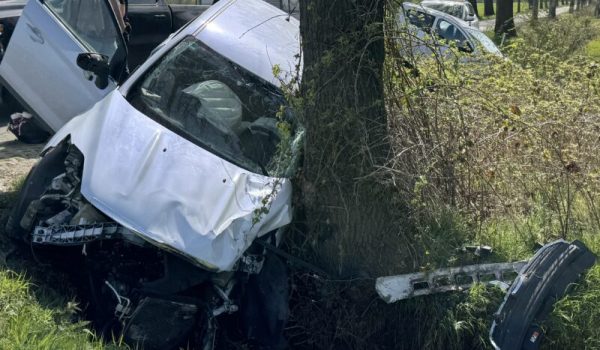 IMG_3074-scaled-aspect-ratio-800-500