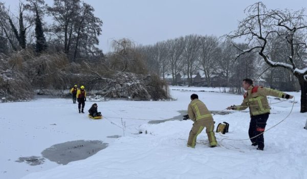 IMG_3610-aspect-ratio-800-500