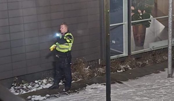 IMG_3665-aspect-ratio-800-500