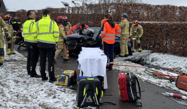 IMG_4050-aspect-ratio-800-500