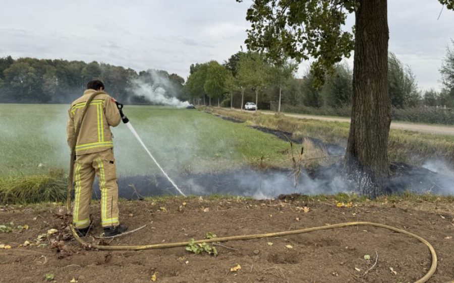 IMG_4130-scaled-aspect-ratio-800-500