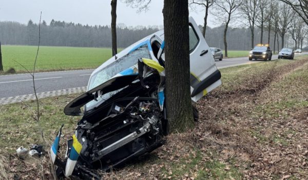 IMG_5405-1-aspect-ratio-800-500