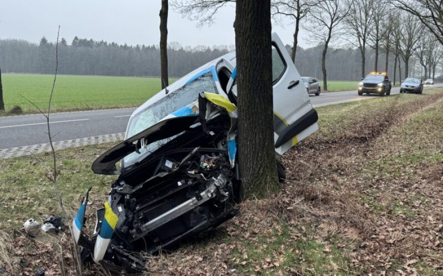 IMG_5405-1-aspect-ratio-800-500