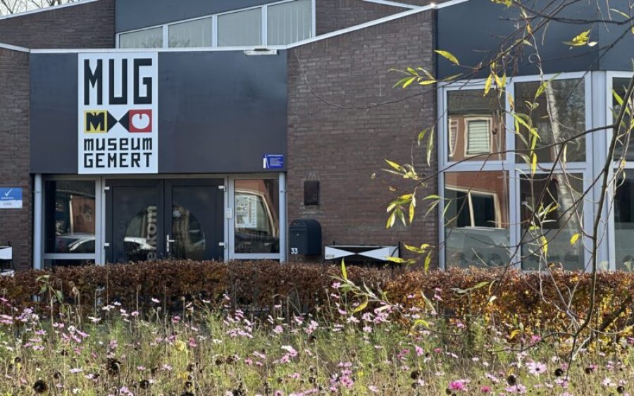 IMG_5857-scaled-aspect-ratio-800-500